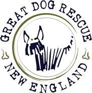 Great Dog Rescue New England